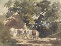 Just the Print