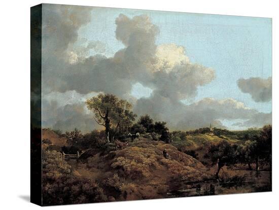 Stretched Canvas Print, , large