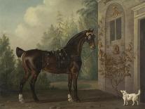 Lord Abergavenny's Dark Bay Carriage Horse with a Terrier, 1785-Thomas Gooch-Giclee Print