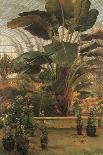 The Tropical House, Kew Garden-Thomas Greenhalgh-Art Print