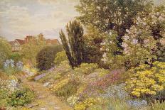 The Lily Border at Great Tangley Manor, Surrey-Thomas H. Hunn-Laminated Giclee Print