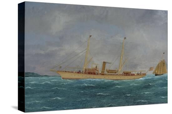 Stretched Canvas Print, , large