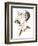 Thomas Hardy - caricature of English novelist and poet, 1840-1928-Neale Osborne-Framed Giclee Print