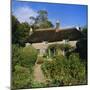 Thomas Hardy's Cotttage, Hardy's Birthplace, Dorset, England-Roy Rainford-Mounted Photographic Print