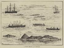 A Ship's Regatta at Trinidad-Thomas Harrington Wilson-Giclee Print
