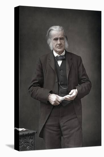 Thomas Henry Huxley (1825-189), English Biologist, 1890-W&d Downey-Stretched Canvas