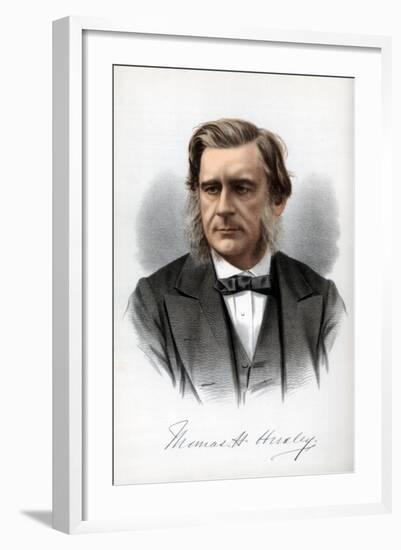 Thomas Henry Huxley, English Biologist, C1890-Petter & Galpin Cassell-Framed Giclee Print