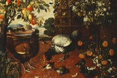 A Cock, a Hen and Chicks in a Yard-Thomas Hiepes-Stretched Canvas