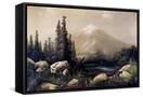 Canvas Black
