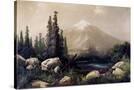 Stretched Canvas