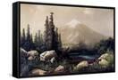 Canvas Black