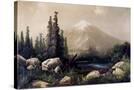 Stretched Canvas
