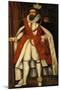 Thomas Howard, 1St Earl of Suffolk (1561-1626), 1617 (Oil on Canvas)-Daniel Mytens-Mounted Giclee Print