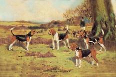 Bloodhounds-Thomas Ivester Llyod-Art Print