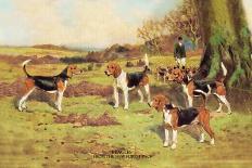 Beagles-Thomas Ivester Llyod-Framed Art Print