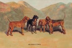 Gascon-Saintongeois Hounds of the Levesque Type-Thomas Ivester Llyod-Art Print