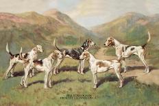 Beagles-Thomas Ivester Llyod-Stretched Canvas