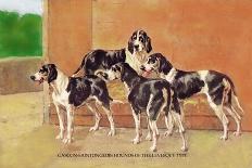 Gascon-Saintongeois Hounds of the Levesque Type-Thomas Ivester Llyod-Art Print