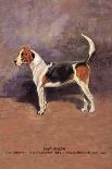 Beagles-Thomas Ivester Llyod-Stretched Canvas