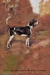 Beagles-Thomas Ivester Llyod-Stretched Canvas