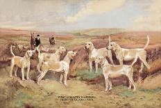 Otter Hounds-Thomas Ivester Llyod-Art Print