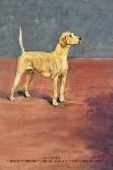 Bloodhounds-Thomas Ivester Llyod-Art Print