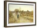 Brown Frame