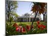Thomas Jefferson's Monticello, UNESCO World Heritage Site, Virginia, USA-Snell Michael-Mounted Photographic Print