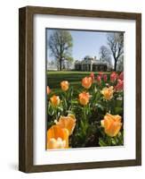 Thomas Jefferson's Monticello, UNESCO World Heritage Site, Virginia, USA-Snell Michael-Framed Photographic Print