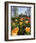 Thomas Jefferson's Monticello, UNESCO World Heritage Site, Virginia, USA-Snell Michael-Framed Photographic Print