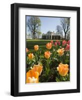 Thomas Jefferson's Monticello, UNESCO World Heritage Site, Virginia, USA-Snell Michael-Framed Photographic Print