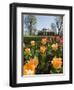 Thomas Jefferson's Monticello, UNESCO World Heritage Site, Virginia, USA-Snell Michael-Framed Photographic Print