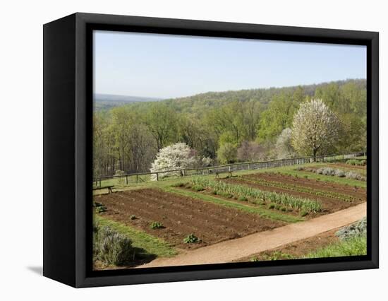 Thomas Jefferson's Monticello, Virginia, United States of America, North America-Snell Michael-Framed Stretched Canvas