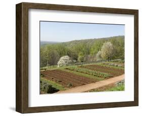 Thomas Jefferson's Monticello, Virginia, United States of America, North America-Snell Michael-Framed Photographic Print