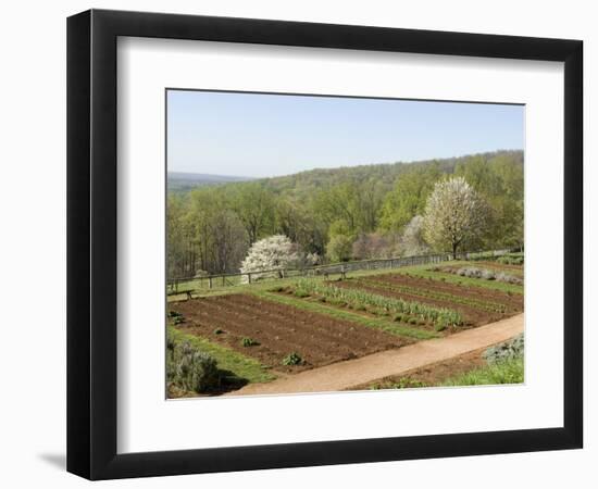 Thomas Jefferson's Monticello, Virginia, United States of America, North America-Snell Michael-Framed Photographic Print