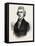 Thomas Jefferson Was an American Founding Father-null-Framed Stretched Canvas