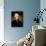 Thomas Jefferson-Rembrandt Peale-Mounted Giclee Print displayed on a wall