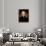 Thomas Jefferson-Rembrandt Peale-Framed Giclee Print displayed on a wall