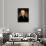 Thomas Jefferson-Rembrandt Peale-Giclee Print displayed on a wall