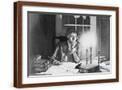 Brown Frame