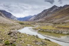 Shrine with Argyle Sheep horns and Blue sheep horns, lower Nyerak village, Ladakh, India, Himalayas-Thomas L. Kelly-Framed Photographic Print