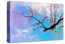 Stretched Canvas