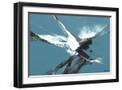 Black Frame
