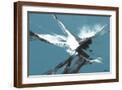 Brown Frame