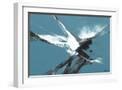 White Frame