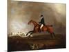 Thomas Mellish on His Hunter 'saucebox'-Benjamin Marshall-Mounted Premium Giclee Print