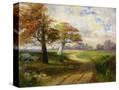 Stretched Canvas