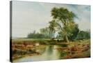 Stretched Canvas