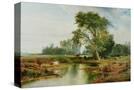 Stretched Canvas