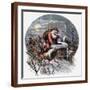 Brown Frame